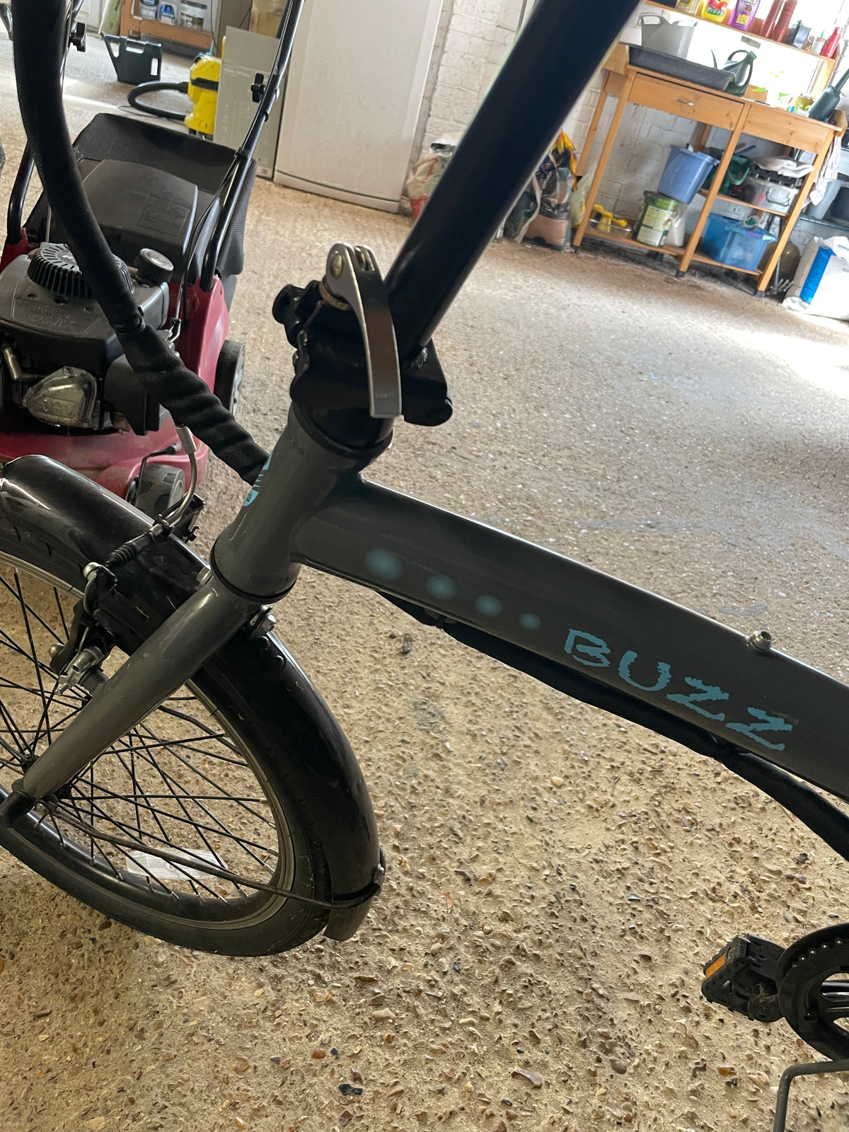 2023 Buzz Lifecycle