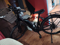 2025 Trek Trek Allant+ 5 Lowstep L Black 725WH