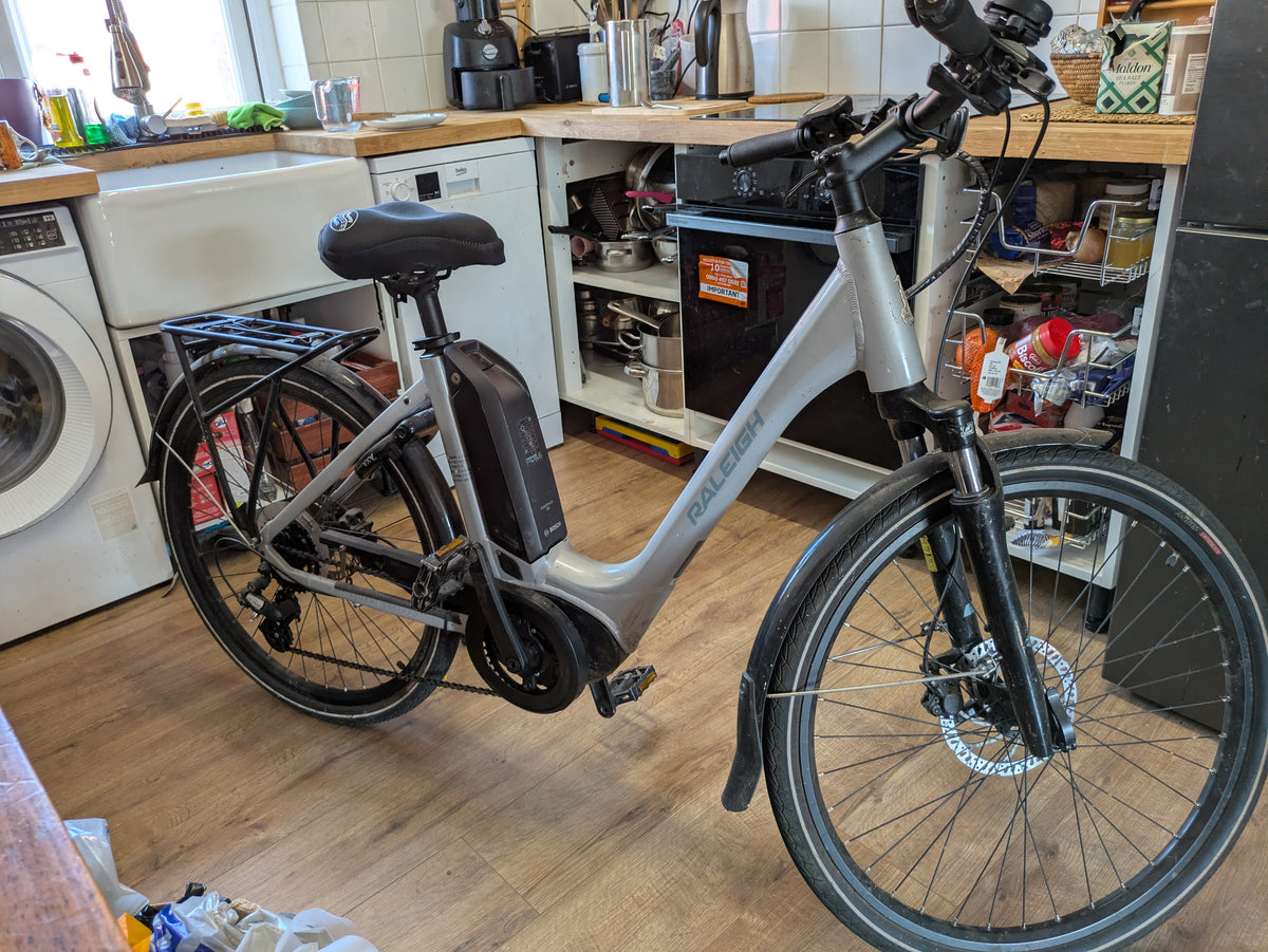 2019 Raleigh Motus